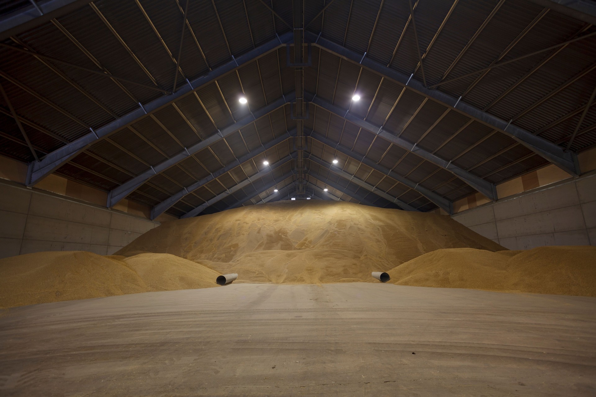 View inside a large grain drying store, with a huge pile of grain cereal